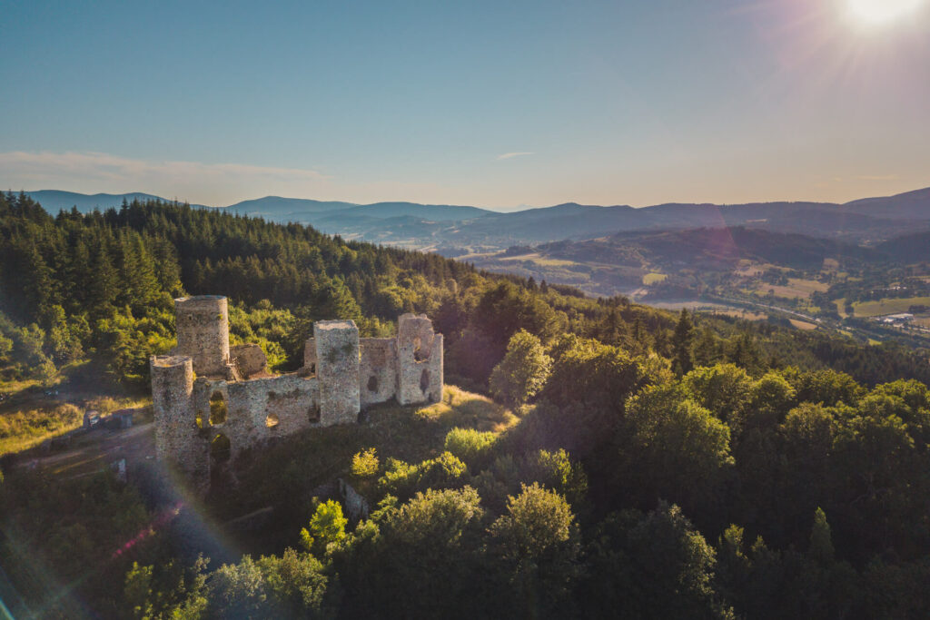 Ruines du château d'Urfé
